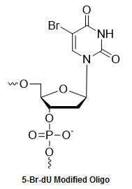 Bio-Synthesis Inc. Oligo Structure